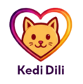 Kedidili Store